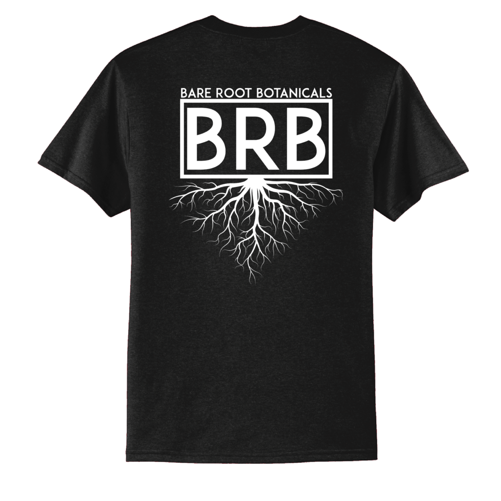 BRB Logo Tee - Port & Company Core Blend