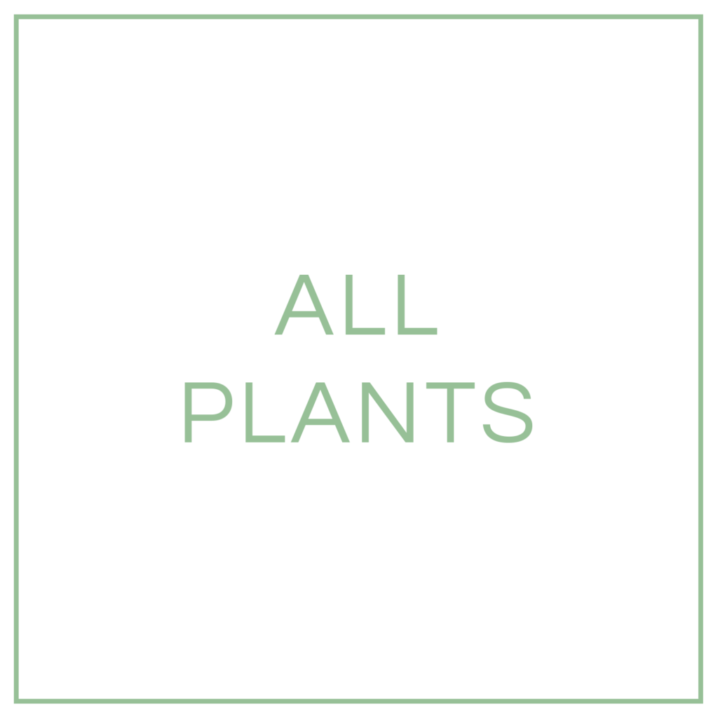 ALL PLANTS