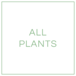 ALL PLANTS
