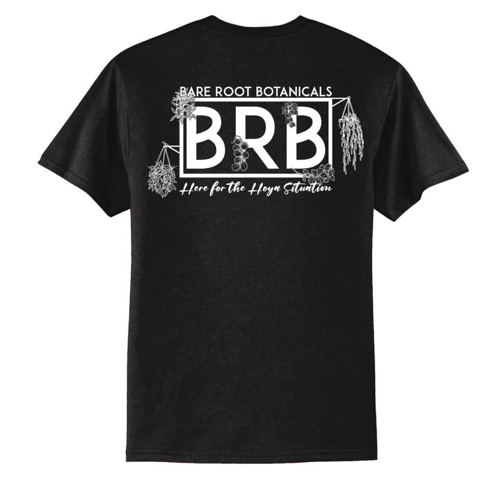 BRB Hoya Situation Tee - Port & Company Core Blend