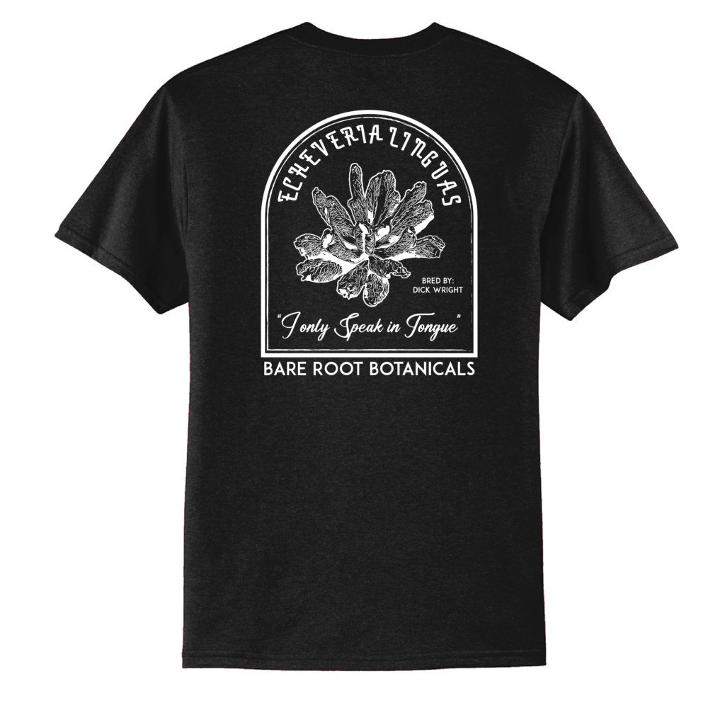 BRB Linguas Tee - Port & Company Core Blend