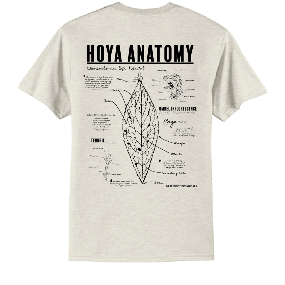 BRB Hoya Anatomy Tee - Port & Company Core Blend